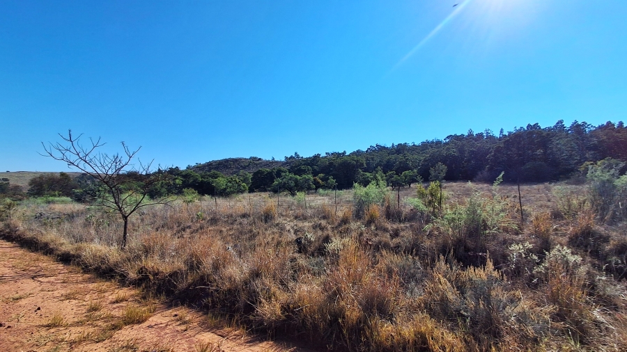 Commercial Property for Sale in Swartruggens North West